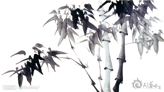 周易中的轉運技巧